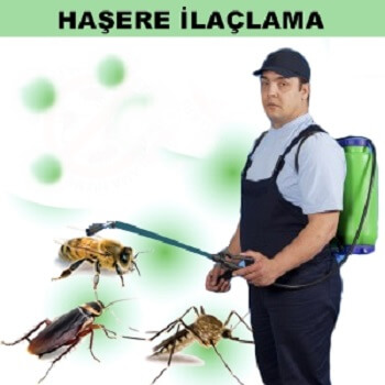 Hamamözü Böcek İlaçlama